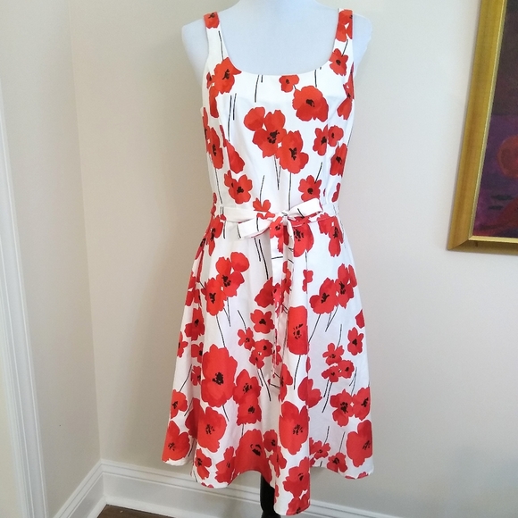 Breakin Loose Dresses & Skirts - Breakin Loose sleeveless poppy print sundress, 10